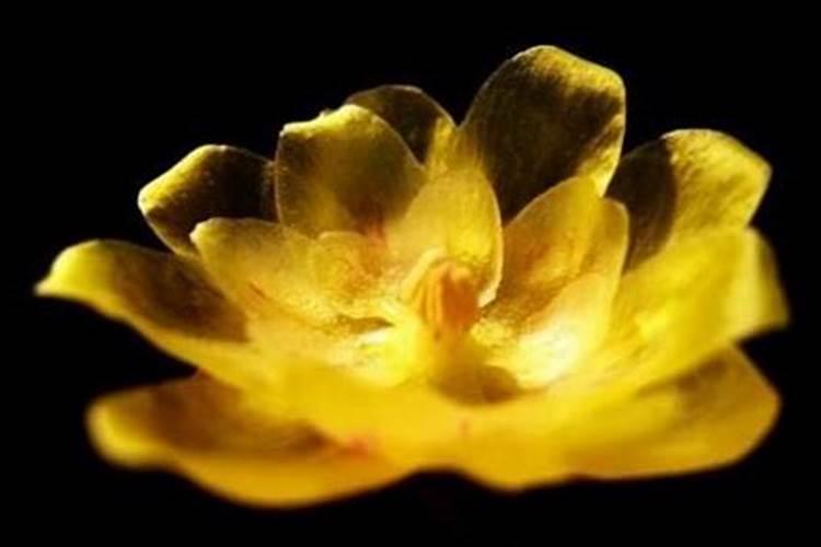 法事超度怎么做？