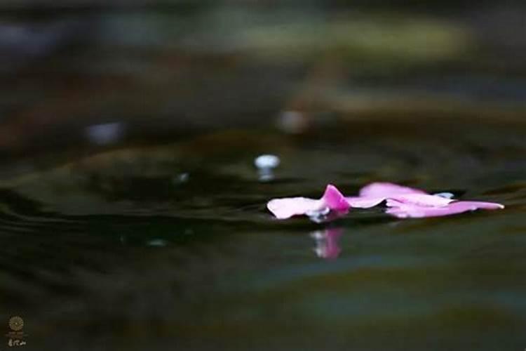 回向死去的亲人