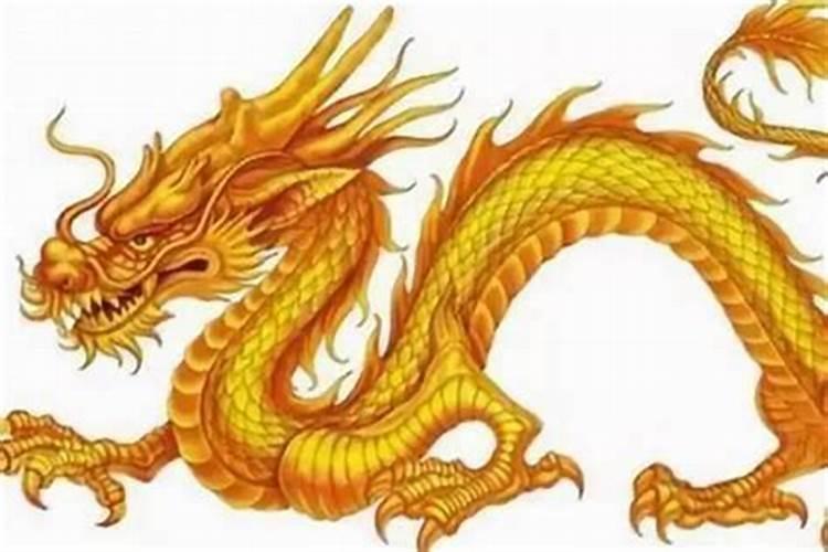 生肖龙今曰运势