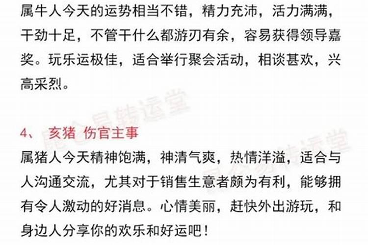 1962生男今年运势