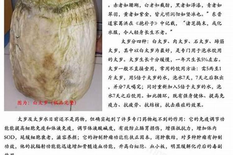 太岁物品是什么东西？