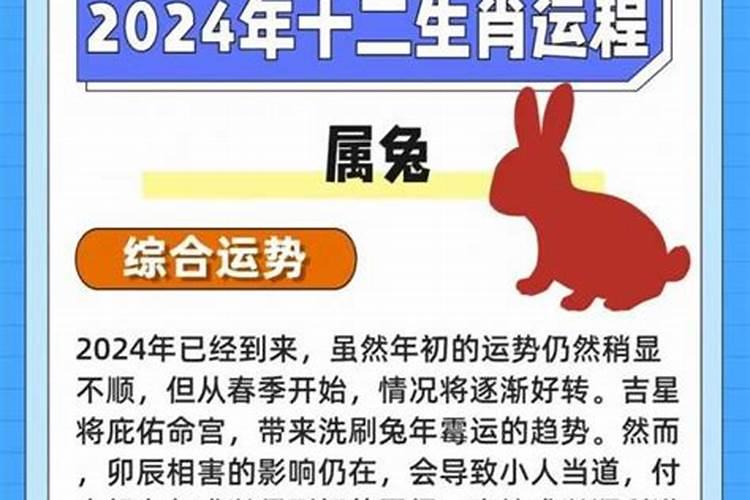 属兔人2026下半年运势运程如何？