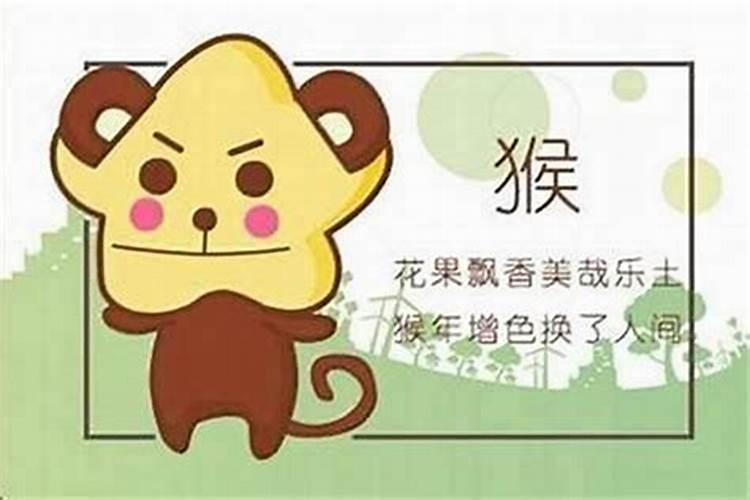 属虎属猴的八字合吗？