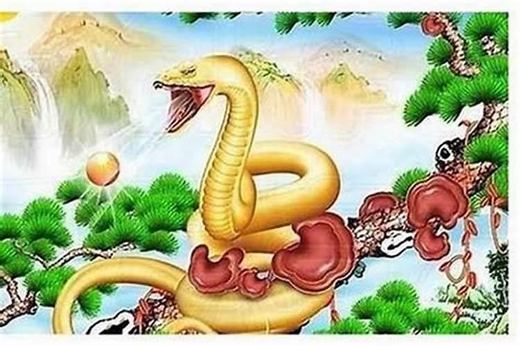 虎和蛇生辰八字哪个合？