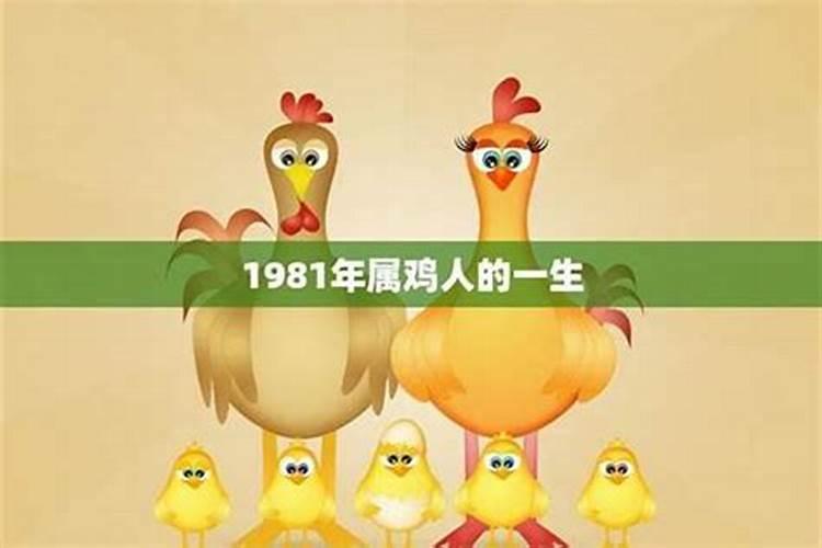 81年属鸡的一生运程