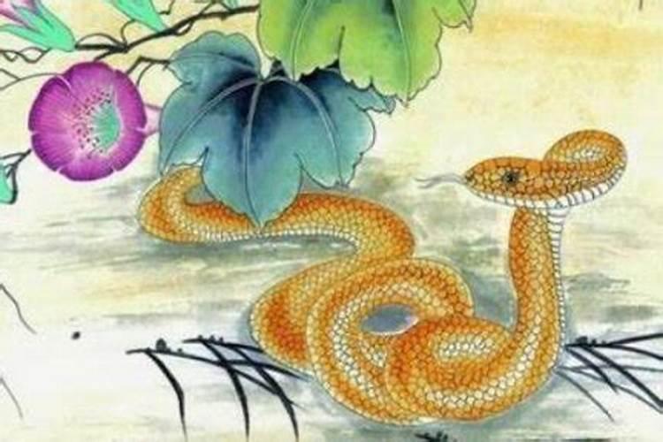 属蛇男与属鸡女合婚好吗？