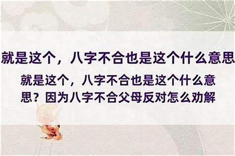 八字不合就不结婚了