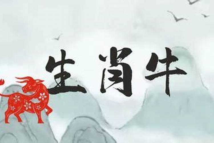 1973牛在2026年的运势如何？