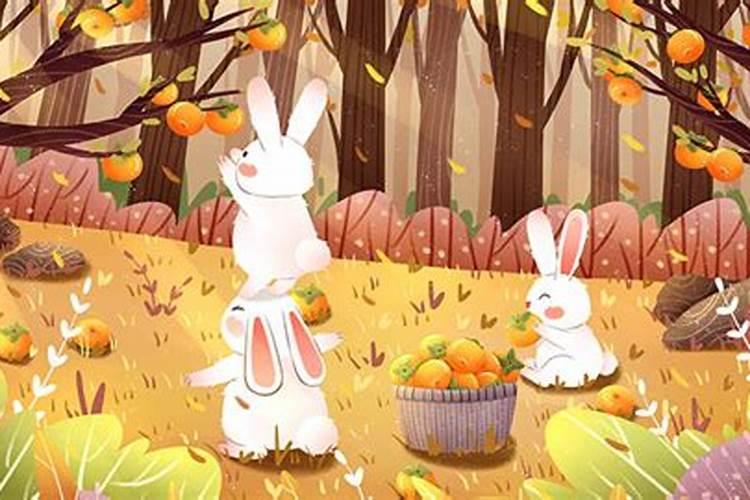 兔给鼠合婚姻相配吗？