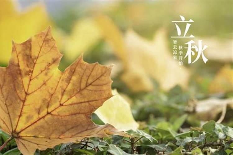 说一说立秋的风俗