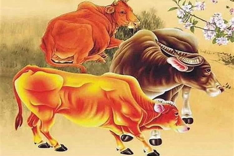 生肖牛婚配什么属相的？