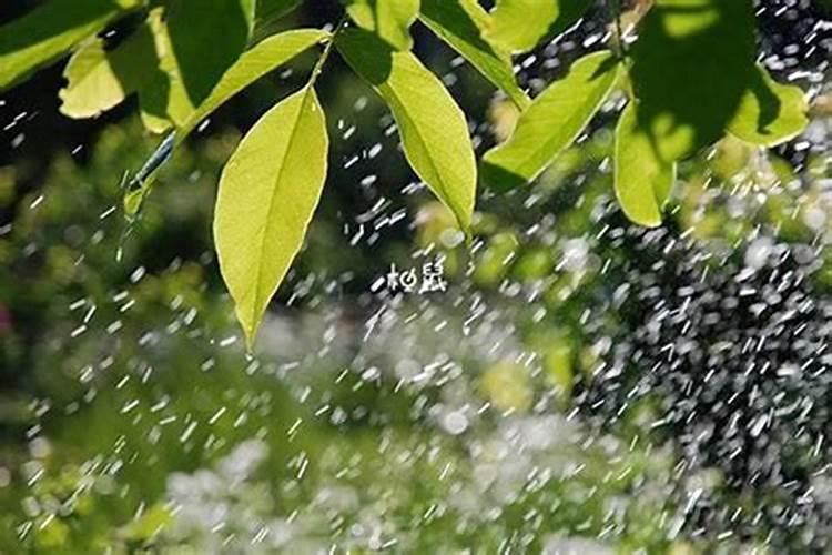 病人梦到下雨马上晴天了