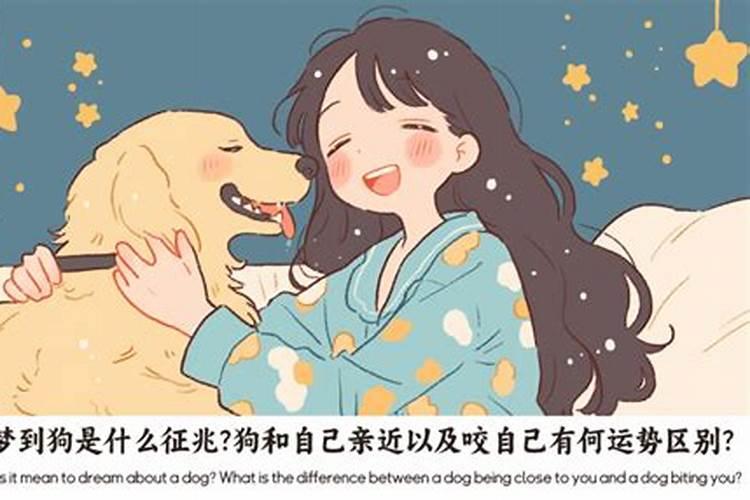 梦到狗狗对自己很亲密