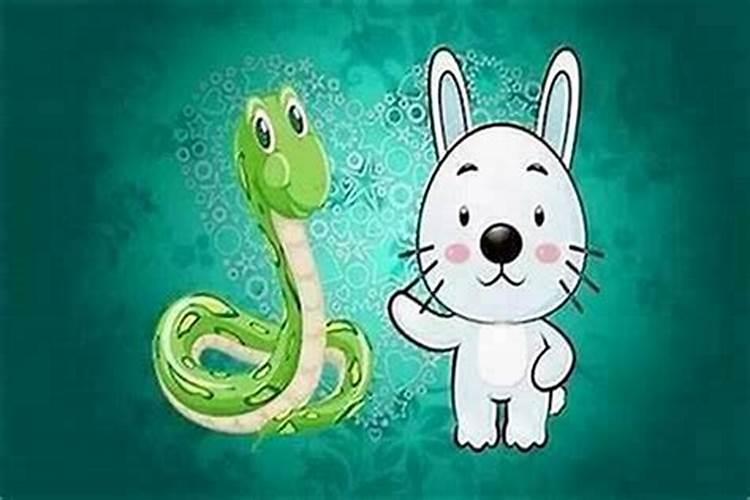 男属兔女属蛇合婚吗？