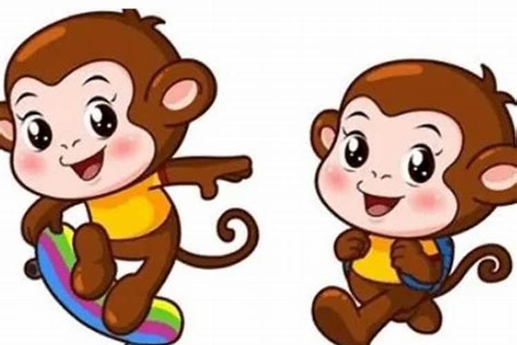 属马的和属猴的合婚吗？