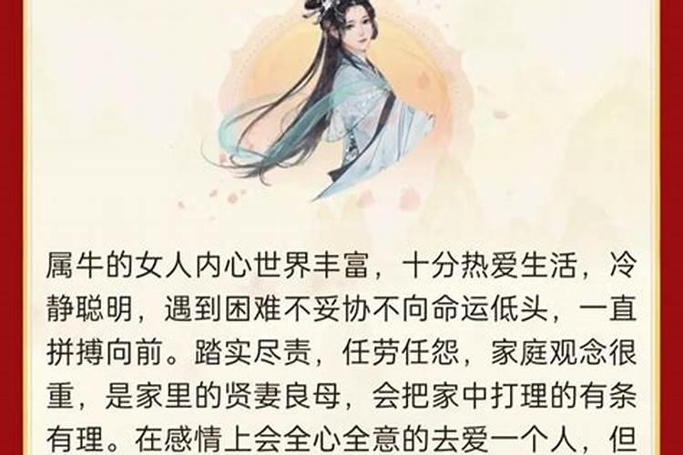 12生肖属牛女运势如何？
