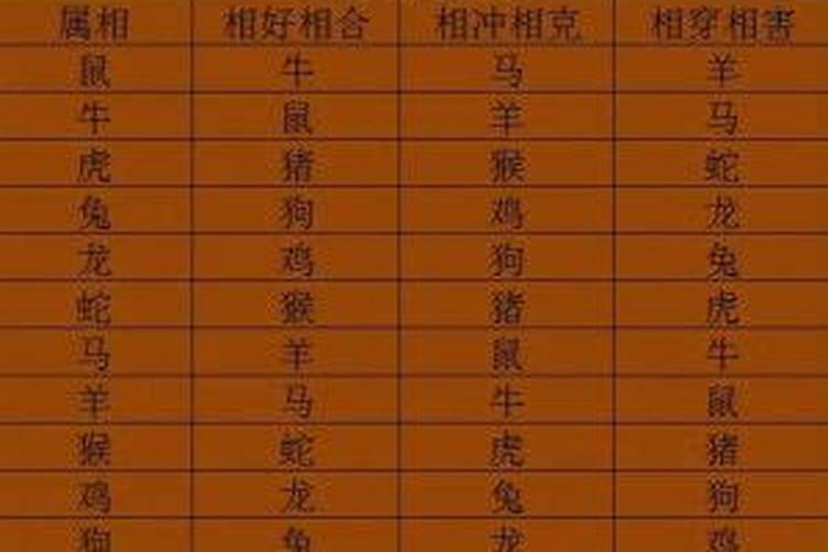 虎兔属相婚配好吗？