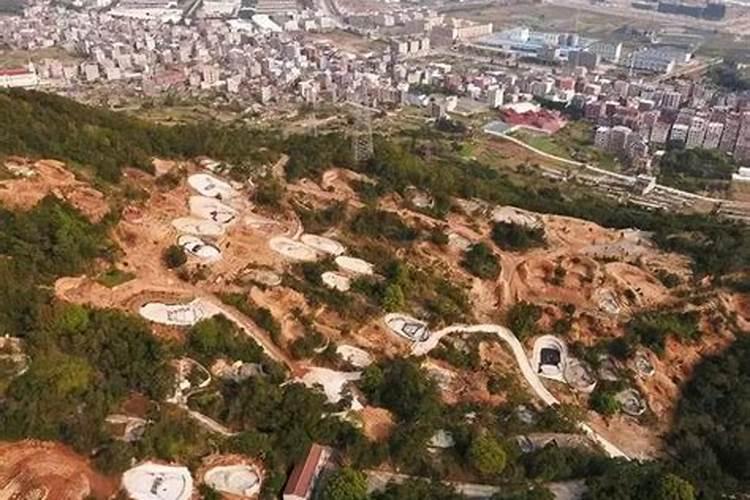 梦到活人的墓地被盗了