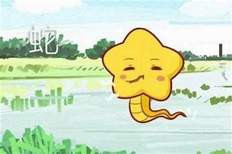 属蛇男跟属猪女合婚吗？