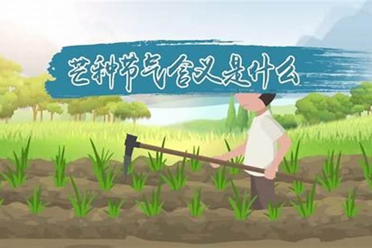 立夏小满芒种有什么习俗？