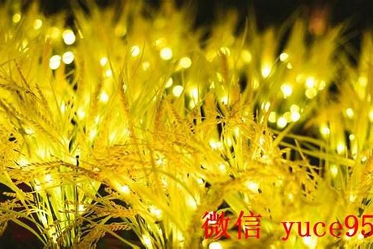 为什么运势很低迷的时候不能去寺庙？