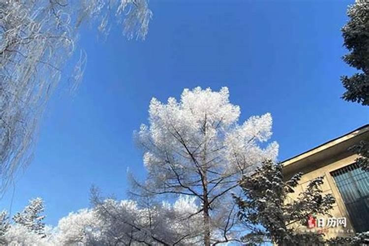 2063年的立冬是哪一天？