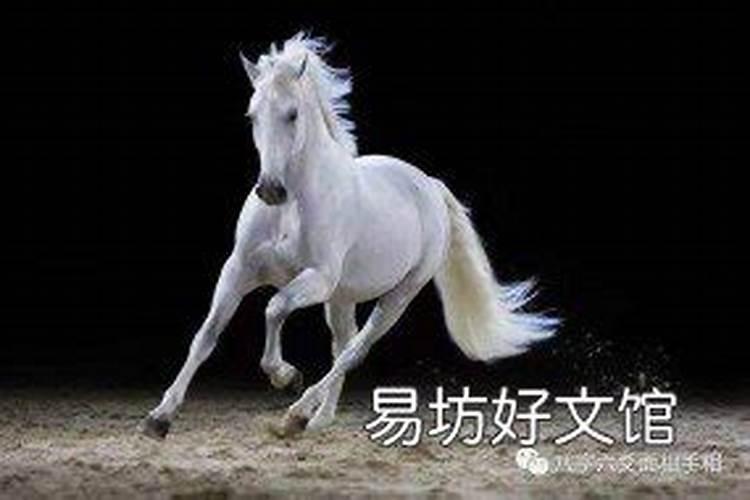 78年马什么命？