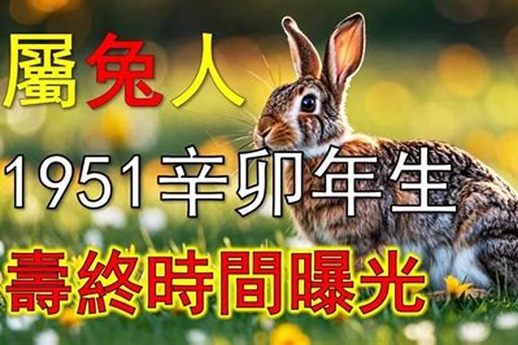 1951年属兔一生运势