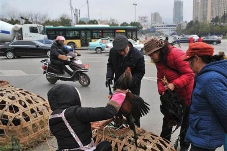 梦见卖鸡是什么意思啊？