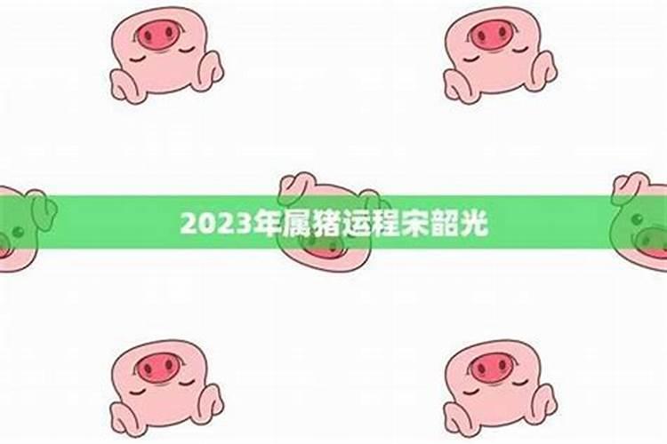 宋绍光71属猪2026年运势运程