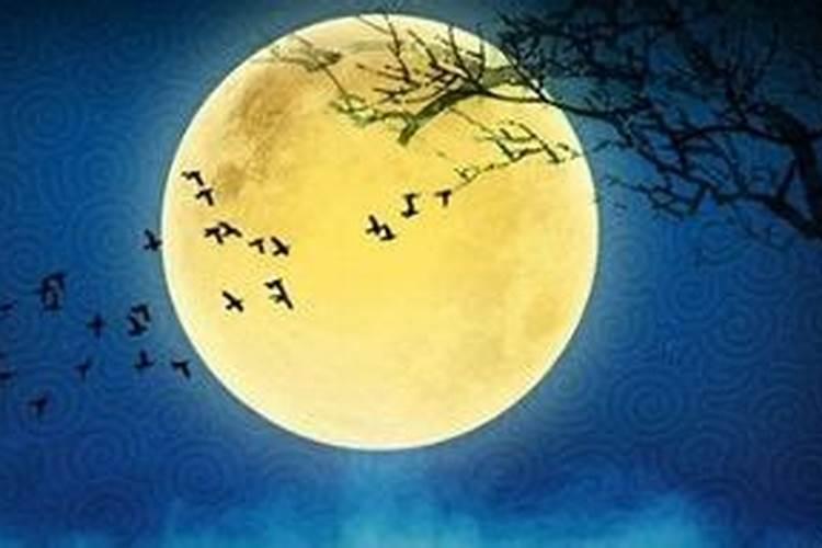 农历八月十五什么花盛开？