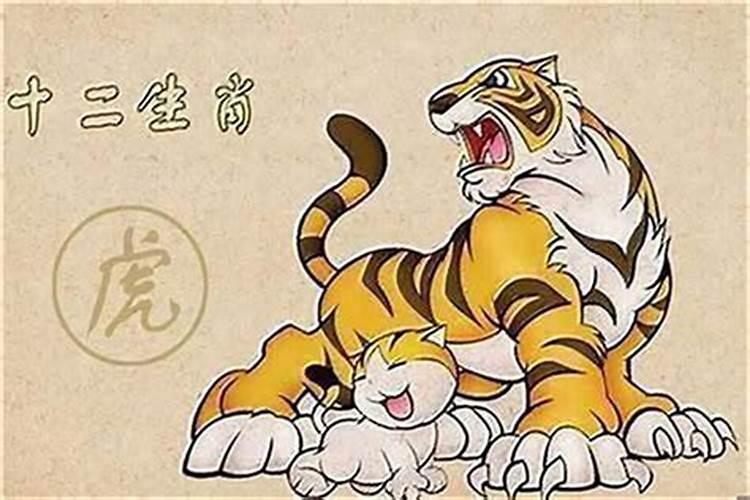 属牛的人和属虎的人合婚吗？