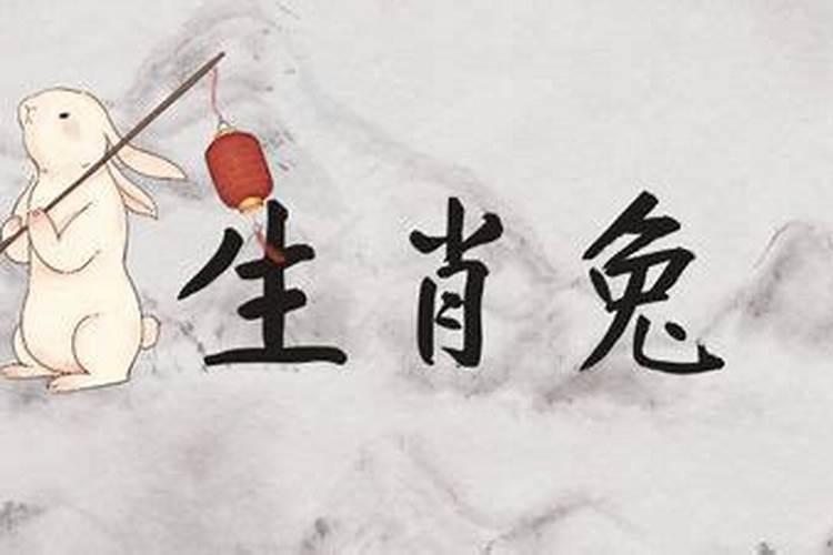 2026财神兔在哪？