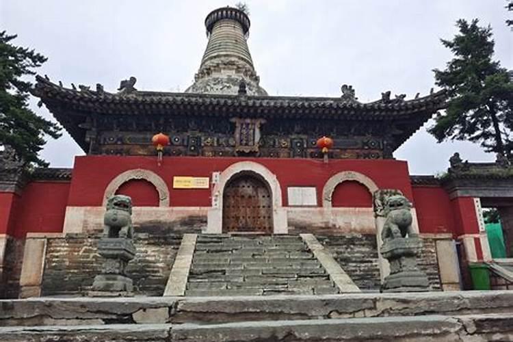 五台山童子命是哪个寺院？