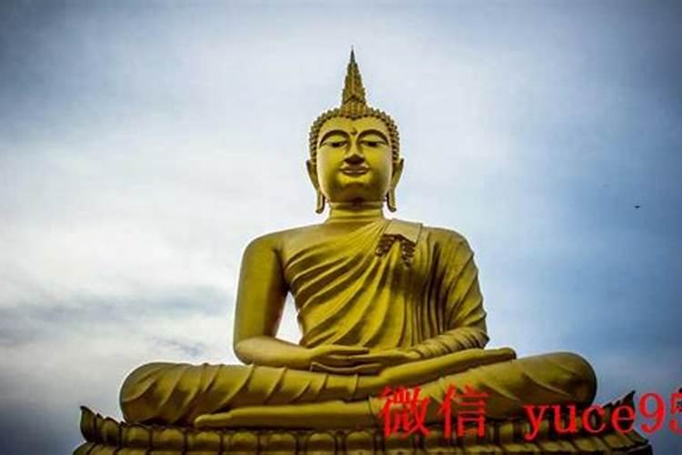 本命年容易脱单吗？