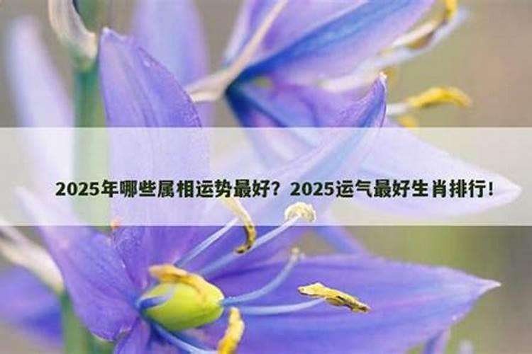 立夏节运气最好的属相