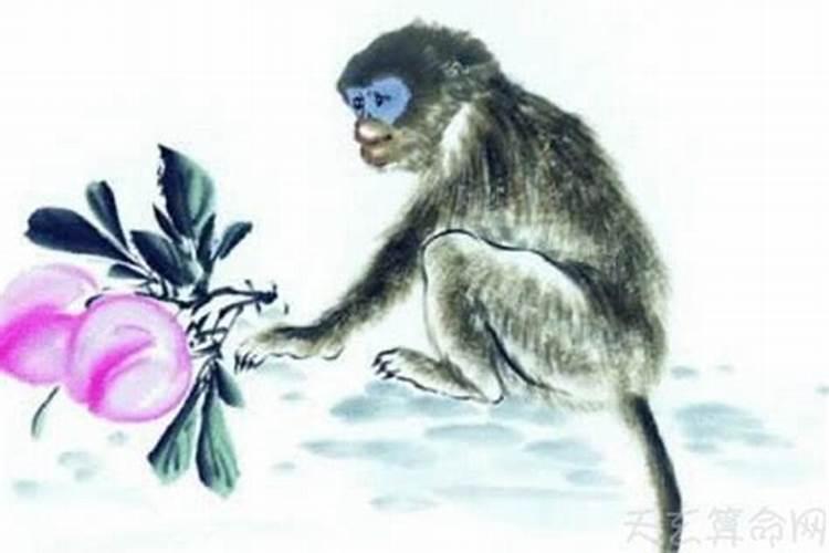 属相猴跟狗婚配怎么样？