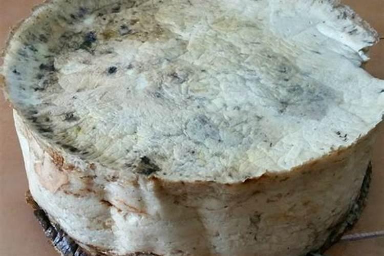 食用太岁的功效和作用