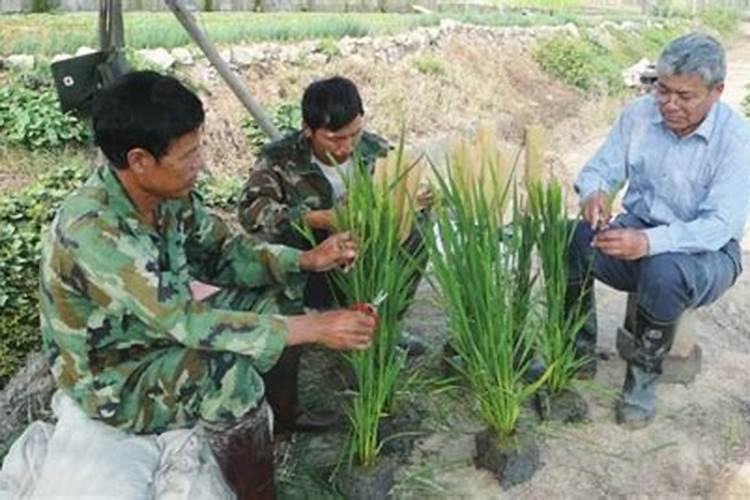 端木梦银什么意思？