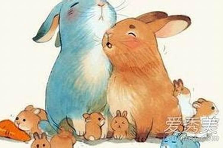 男兔和女虎八字合不合