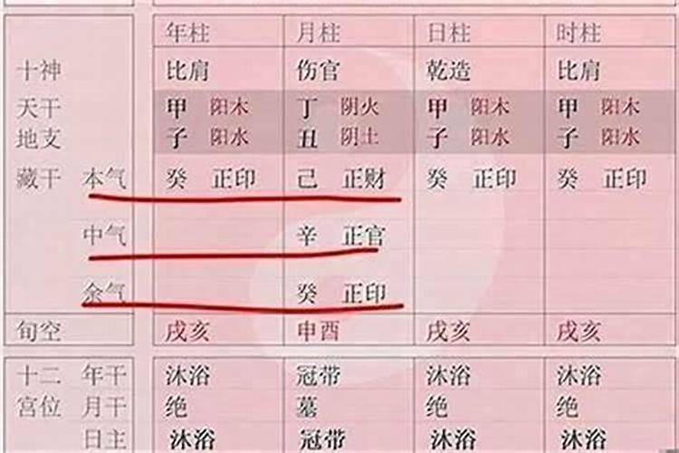 八字里日子用地支还是用天干记录？