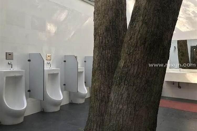 梦到掉厕所里什么预兆？