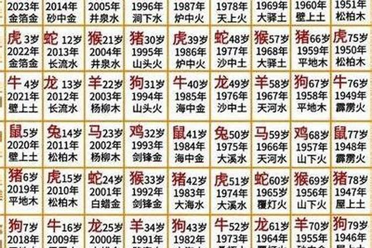 甲辰年出生的在2026年的运程