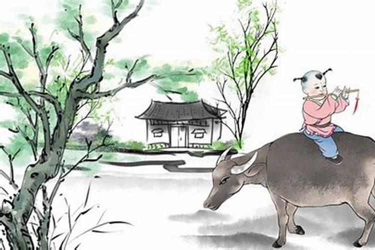 宜兴清明节风俗