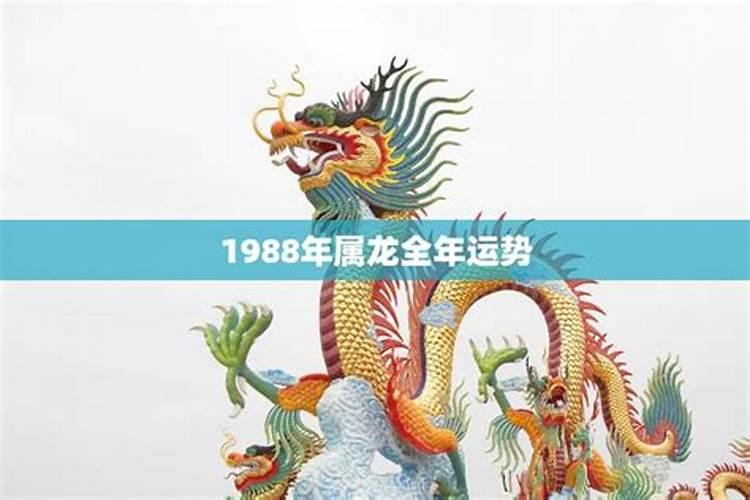 1988年龙明年运势