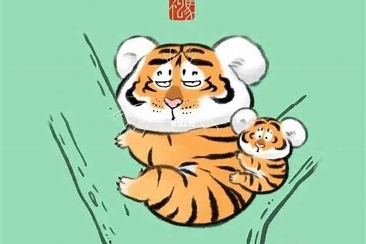 立冬这天出生的虎宝宝