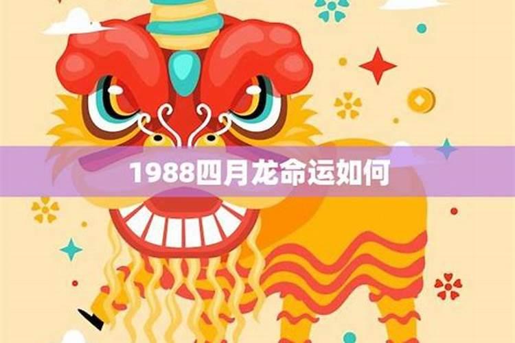 龙年出生的人1988年运程