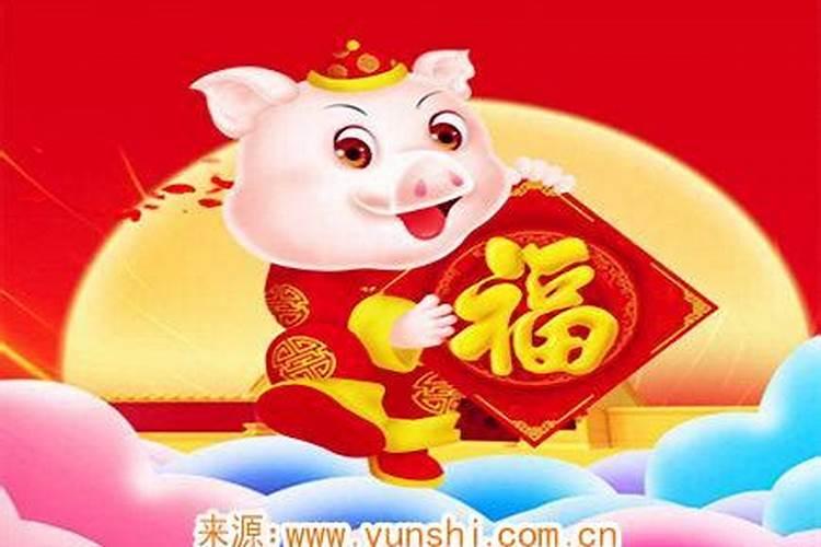 属猪十一月出生运势
