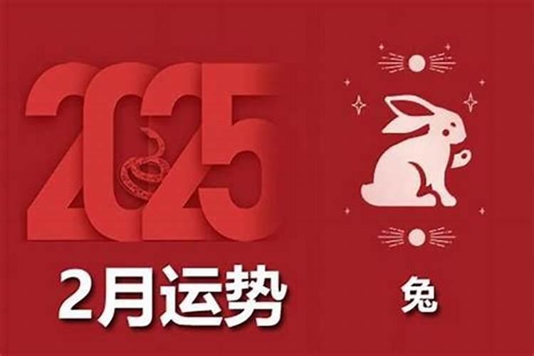 2026年生肖兔8月运势如何？