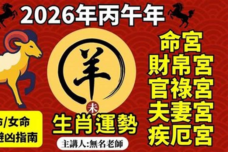 乙未羊2026年运程